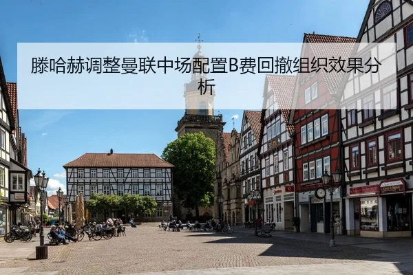 teng-ha-he-tiao-zheng-man-lian-zhong-chang-pei-zhi-fei-hui-che-zu-zhi-xiao-guo-fen-xi-2-175.jpg